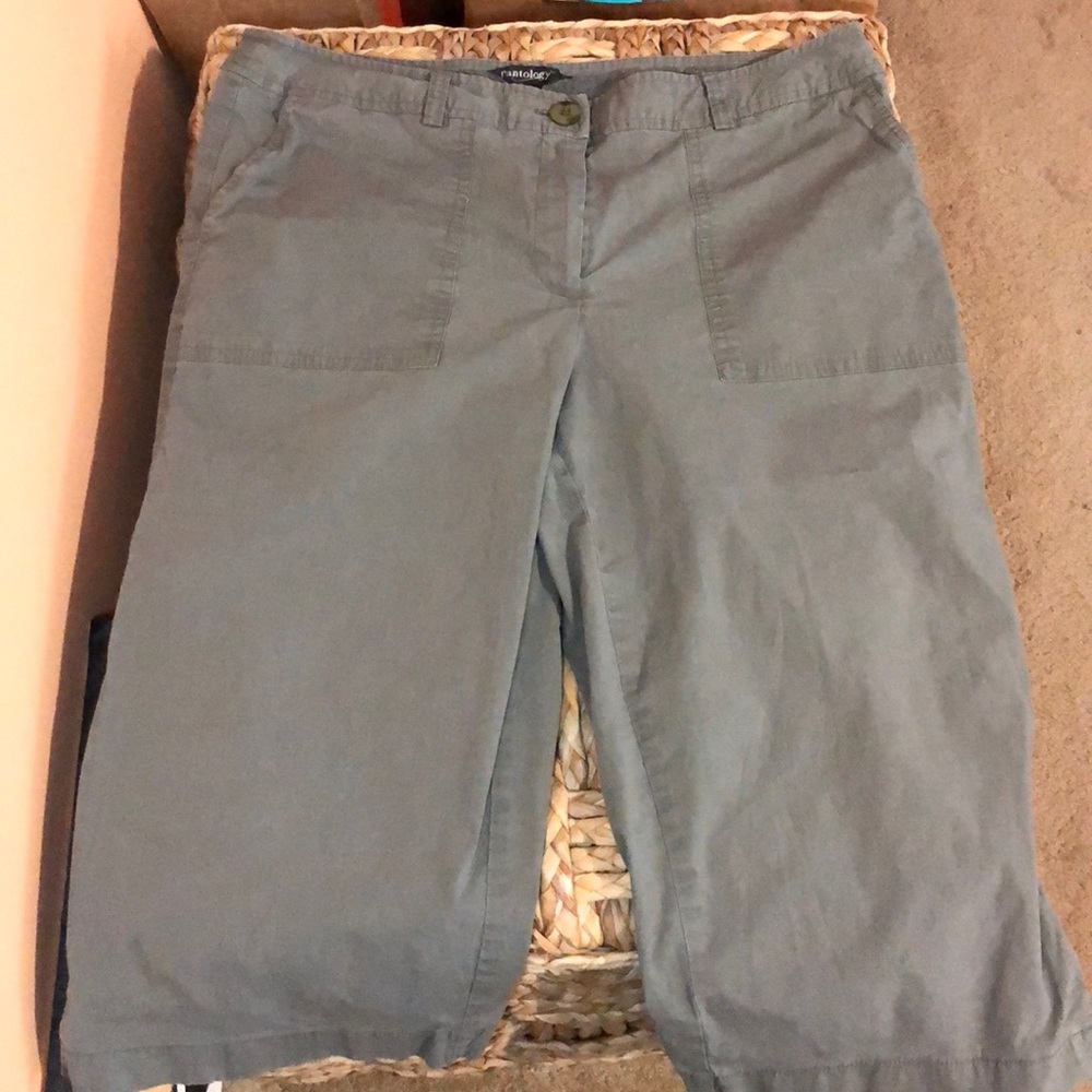 Pantology Bermuda Shorts Capri Pants